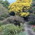 31 Mirrabooka Road, Mallacoota, Vic 3892 Australia