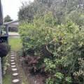 15 Shady Gully Drive, Mallacoota, VIC 3892 Australia