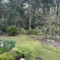 15 Shady Gully Drive, Mallacoota, VIC 3892 Australia