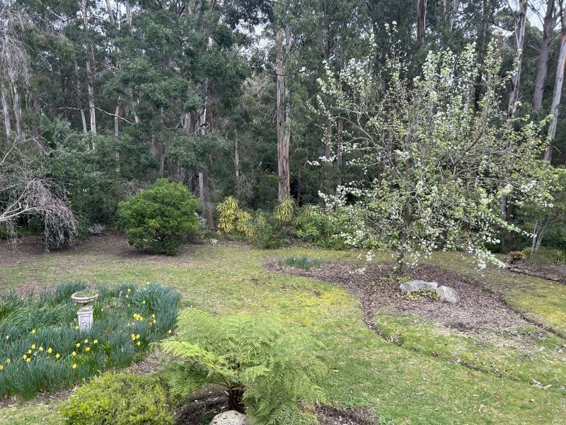 15 Shady Gully Drive, Mallacoota, VIC 3892 Australia