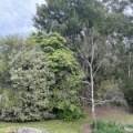 15 Shady Gully Drive, Mallacoota, VIC 3892 Australia