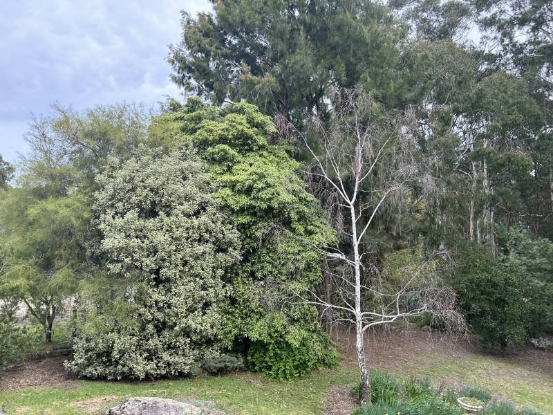 15 Shady Gully Drive, Mallacoota, VIC 3892 Australia