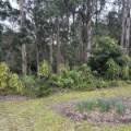 15 Shady Gully Drive, Mallacoota, VIC 3892 Australia