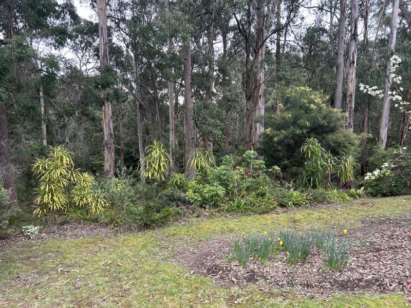 15 Shady Gully Drive, Mallacoota, VIC 3892 Australia