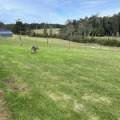 9 NAUTA TERRACE, Mallacoota, VIC 3892 Australia