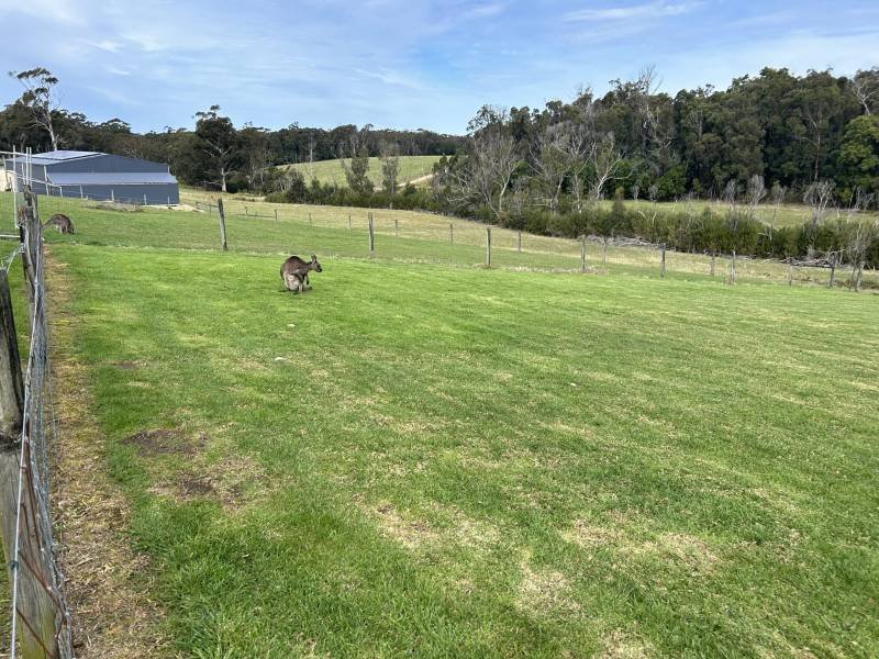 9 NAUTA TERRACE, Mallacoota, VIC 3892 Australia