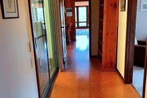 253 Gispy Point Road, Gipsy Point, Vic 3891 Australia