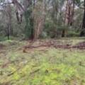 Mallacoota, VIC 3892 Australia