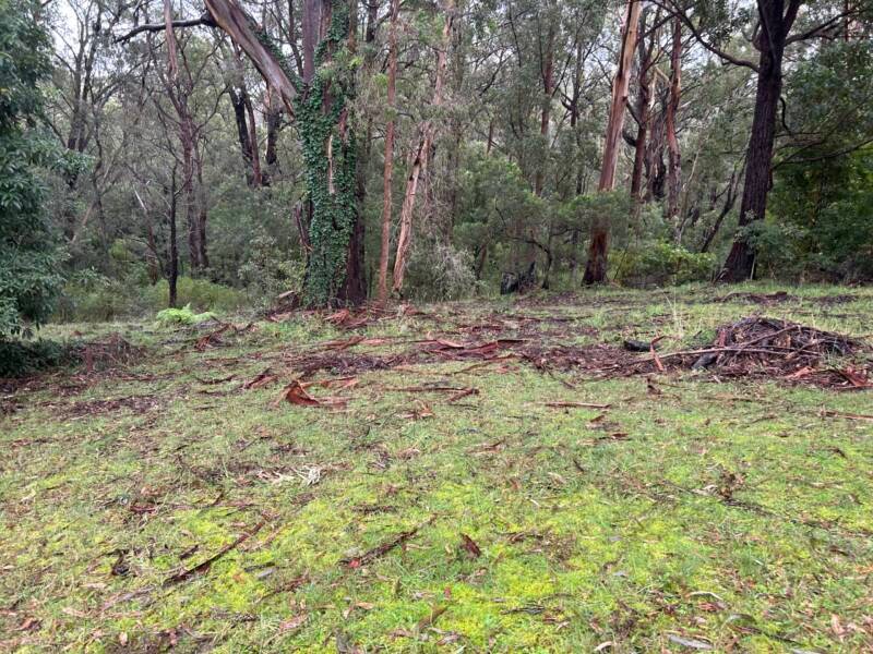 Mallacoota, VIC 3892 Australia