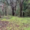 Mallacoota, VIC 3892 Australia